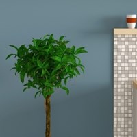 Портфолио RODRIGUEZ