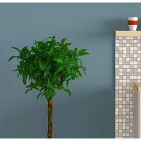 Fitted Cupboard: Cupboards For Any Space